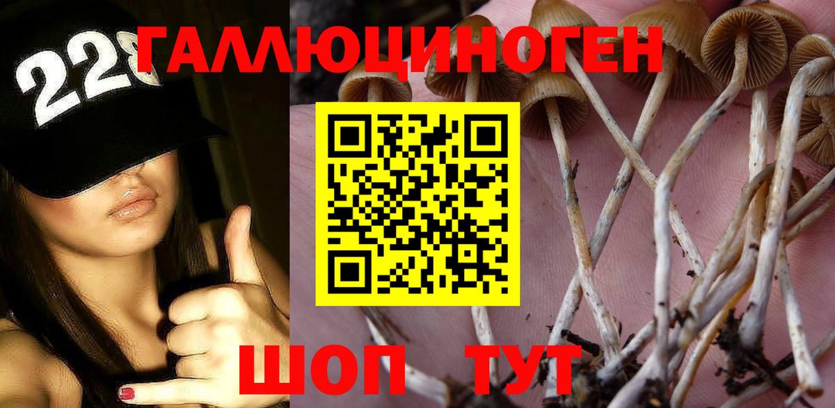 Ангарск  Галлюциногенные грибы мухоморы  Вход с VPN 